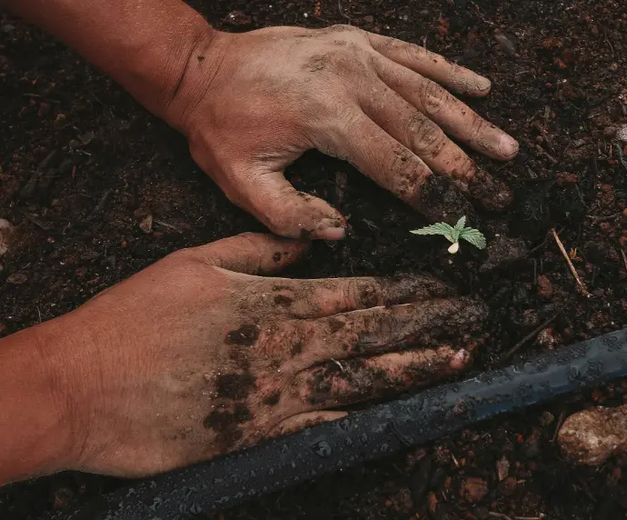 Corporate Sustainability + Lexicon Lab (One Year)